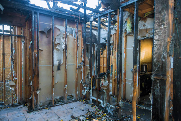 Professional Smoke Damage Removal technician working in Middleburg, FL